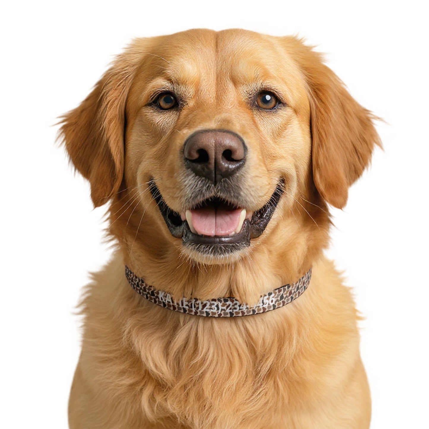 Duck Camo Dog Collar | Custom Name & Phone Number | Durable Snap Collar for Outdoor Dogs