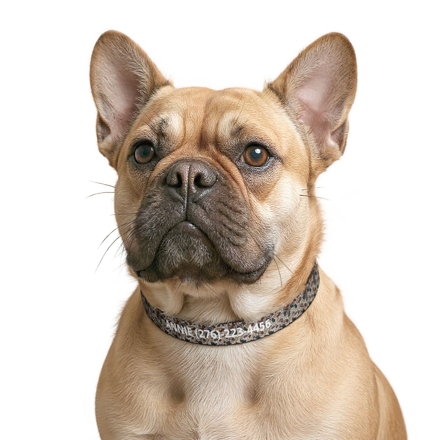 Duck Camo Dog Collar | Custom Name & Phone Number | Durable Snap Collar for Outdoor Dogs