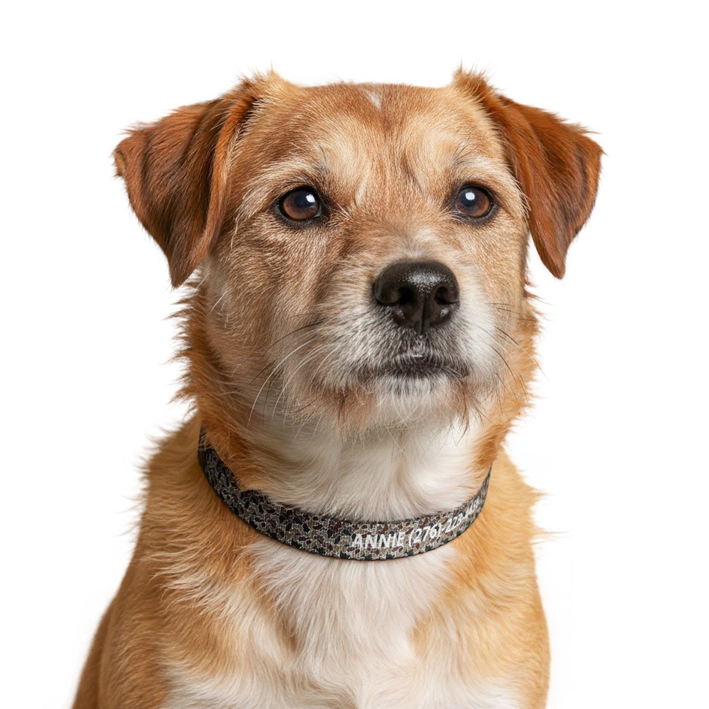 Duck Camo Dog Collar | Custom Name & Phone Number | Durable Snap Collar for Outdoor Dogs