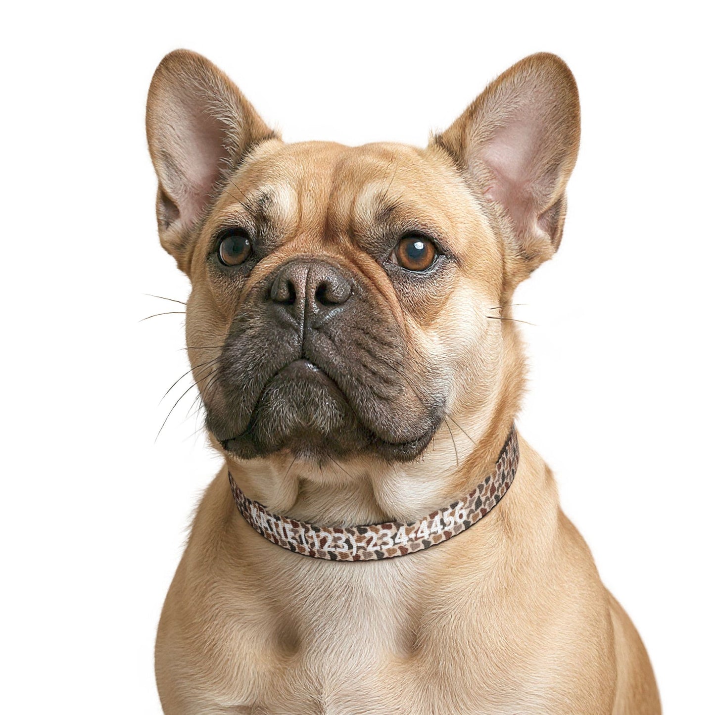 Duck Camo Dog Collar | Custom Name & Phone Number | Durable Snap Collar for Outdoor Dogs