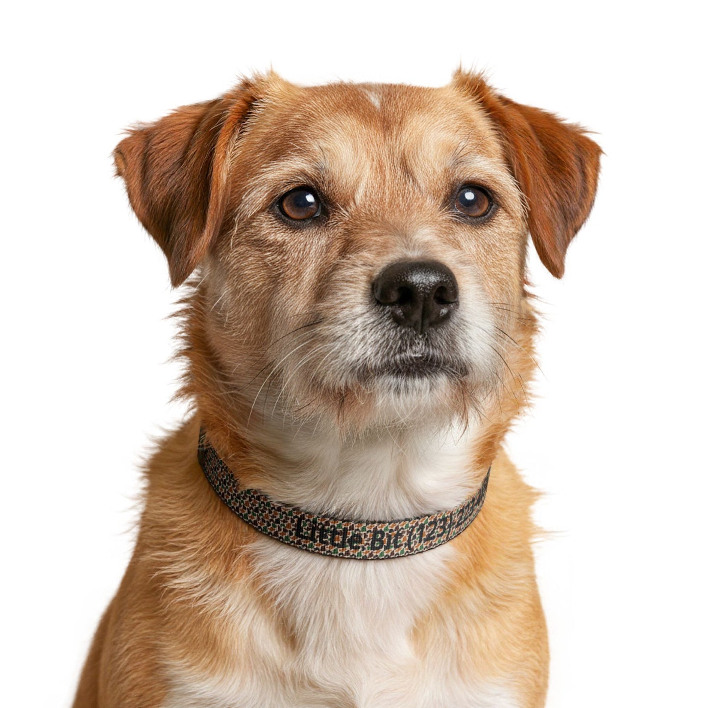 Duck Camo Dog Collar | Custom Name & Phone Number | Durable Snap Collar for Outdoor Dogs